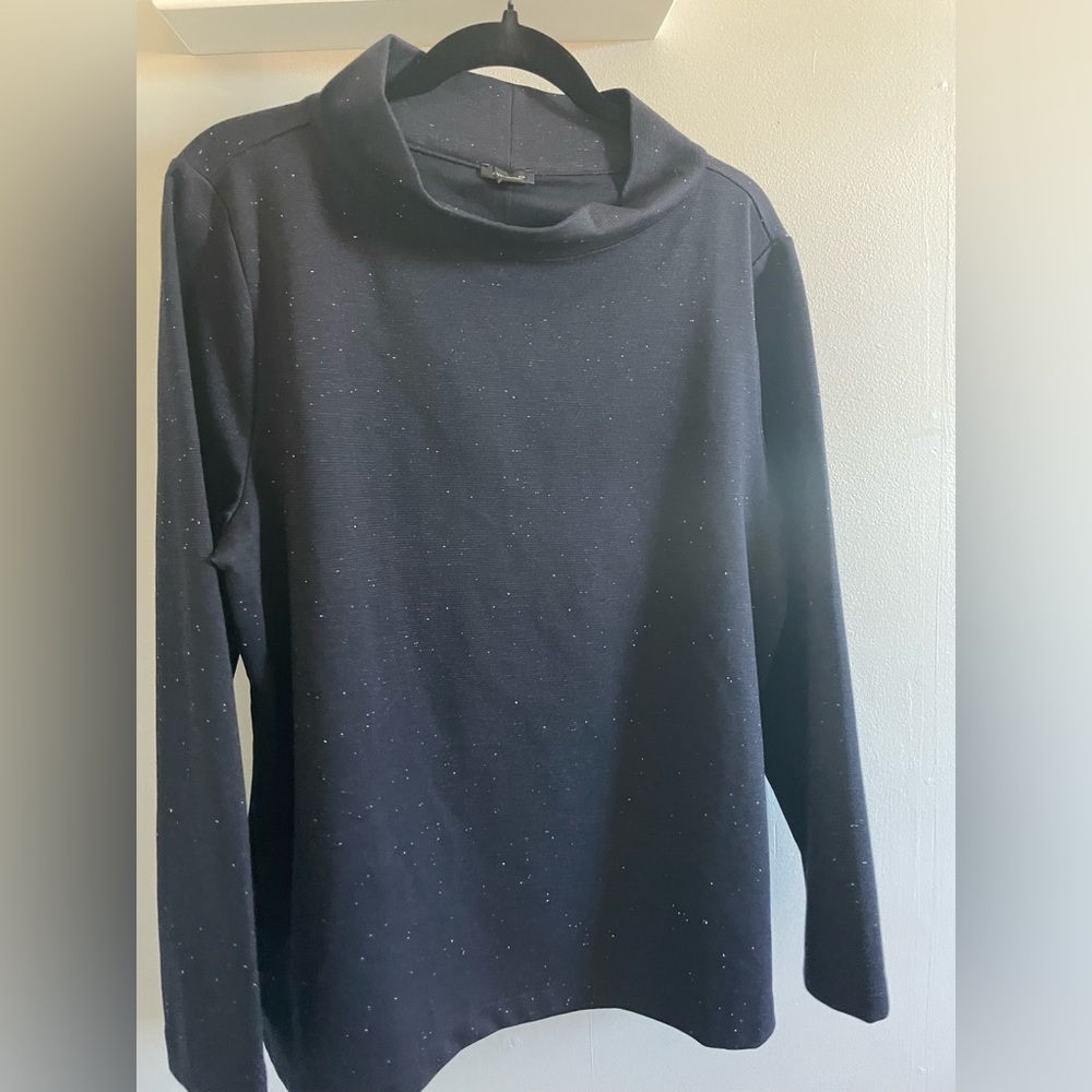 NWT Ann Taylor Turtleneck Pullover Sweater